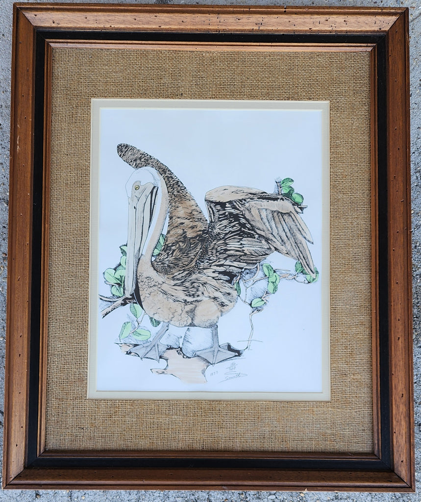 Vintage 1977 Hand Colored Pelican Etching - Signed & Numbered